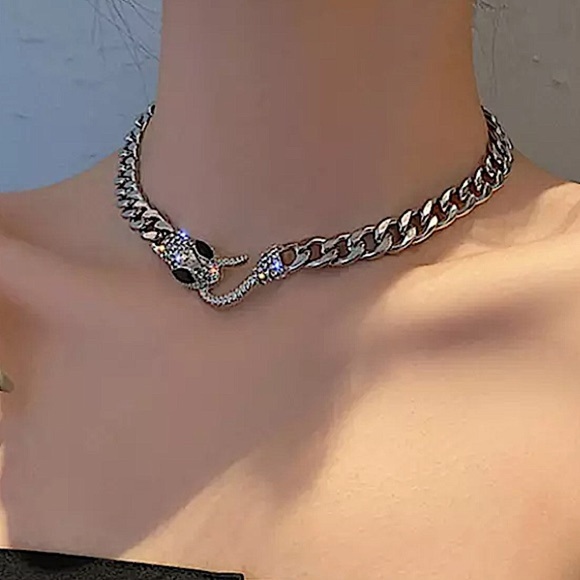 Silver Snake Hook Closure Zircon Choker - Picture 11 of 12